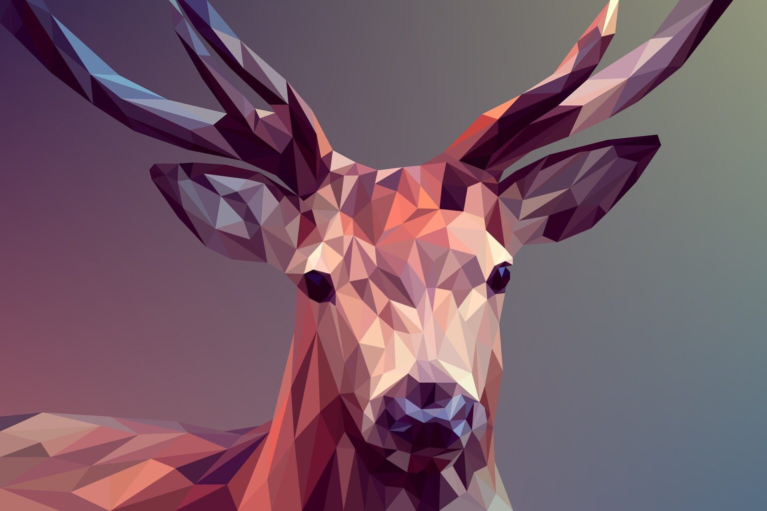 Digitální tisk - grafika s jelenem v low poly
